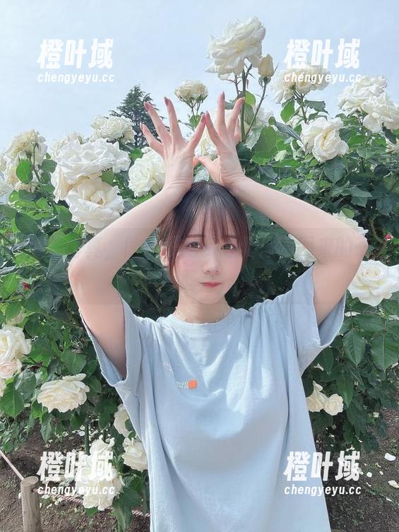 空姐写真，けん研的资源就像飞回来的一阵风