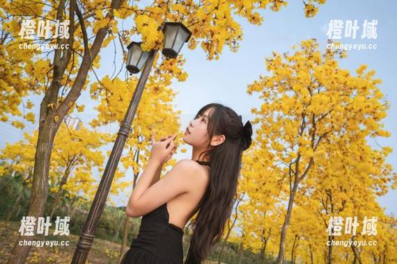 萌芽儿o0护士特辑：在线高清让你大开眼界